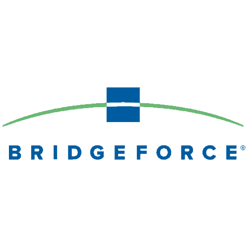 bridge force logo square